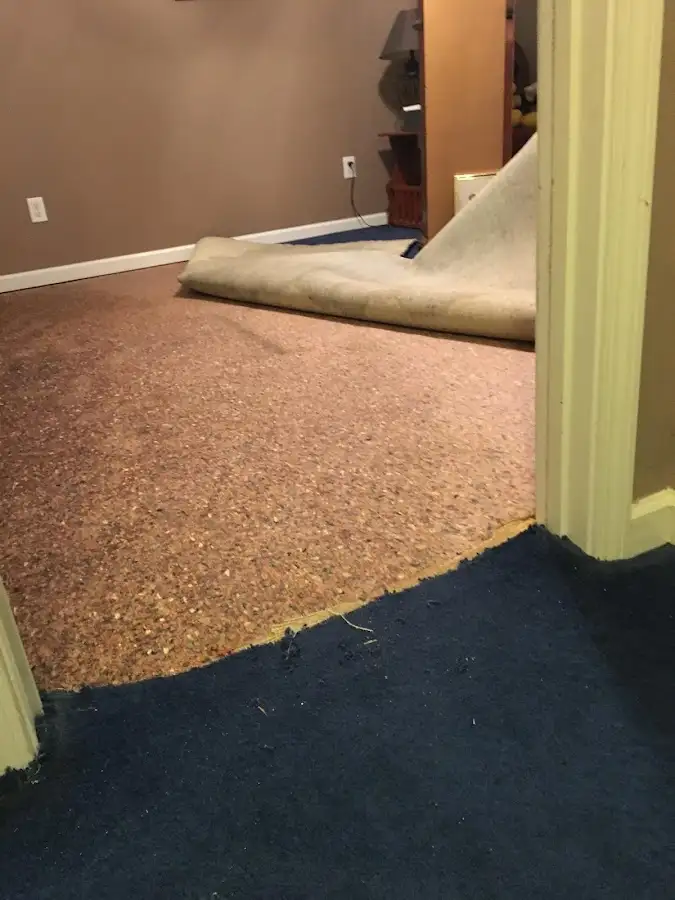 Carpet pad removal revealing water damage during Water Mitigation Services in Covington